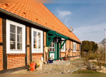 Hojna posiadłość z hodowlą koni, apartamentem na wynajem, działkami budowlanymi oraz wszechstronnym 