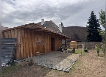Hojny kompleks jeździecki z wyjątkowym domem mieszkalnym, pięcioma jednostkami mieszkalnymi, halą uj