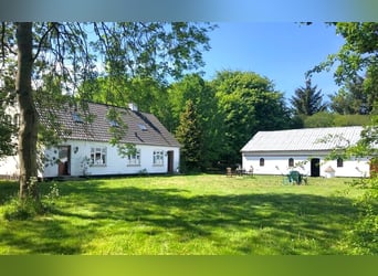 ISLANDGESTÜT MIT 62 HEKTAR IN NORDJÜTLAND ZU KAUFEN