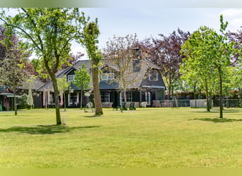 Kapelstraat 12 - 14 Leende Beautiful, complete equestrian accommodation 