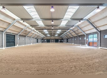 Kapelstraat 12 - 14 Leende Beautiful, complete equestrian accommodation 