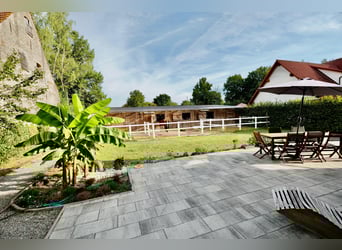 kleine Reitanlage mit laufendem Betrieb sucht neuen Inhaber