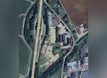 Kompletny staj dla koni: 15 boksów paddockowych + 8 miejsc w stajni otwartej + hala + plac do ujeżdż