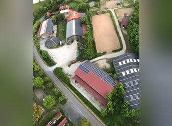 Kompletny staj dla koni: 15 boksów paddockowych + 8 miejsc w stajni otwartej + hala + plac do ujeżdż