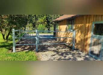 Kupno domu wiejskiego/ gospodarstwa w Allgäu, w pełni odosobnione miejsce z około 11 hektarami łąk d