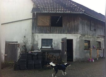 Landleben in traumhafter Lage im Westerwald (nicht all zu weit von Köln)