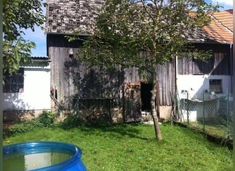 Landleben in traumhafter Lage im Westerwald (nicht all zu weit von Köln)