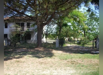 Lovely Equestrian property in Italy  