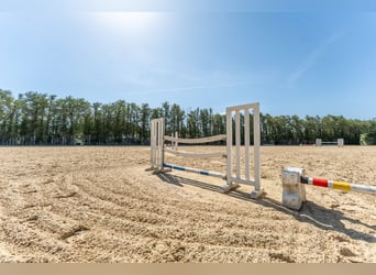 Luksusowa stajnia sportowa