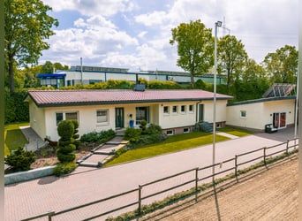 Luksusowy kompleks jeździecki