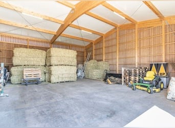 **Luxuriöses Pferdeanwesen in bester Lage** - Schweiz