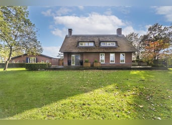 Luxury detached home with office outbuilding, wellness pool, gym & stables for 4 horses
