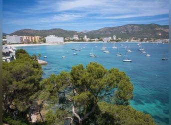 MALLORCA: Apartment in erster Meereslinie mit Bootsgarage