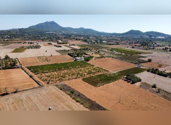 MALLORCA Felanitx: Baugrundstück mit Baulizenz und Blick auf den Sant Salvador