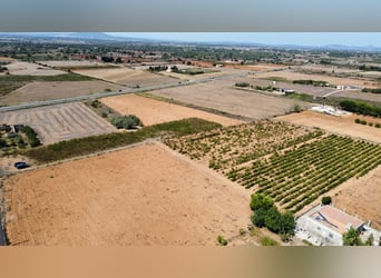MALLORCA Felanitx: Baugrundstück mit Baulizenz und Blick auf den Sant Salvador