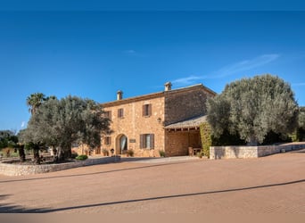 Mallorca: Finca mit Stallungen auf 15 Hektar Land und Ferienvermietlizenz