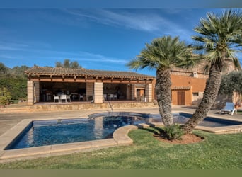 Mallorca: Finca mit Stallungen auf 15 Hektar Land und Ferienvermietlizenz