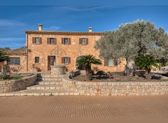 Mallorca: Finca mit Stallungen auf 15 Hektar Land und Ferienvermietlizenz