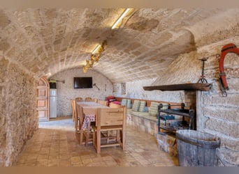 Mallorca: Große Finca auf 4,8 Hektar Land mit Stallungen