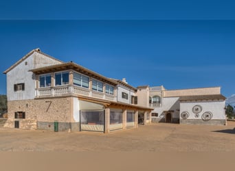 Mallorca: Große Finca auf 4,8 Hektar Land mit Stallungen