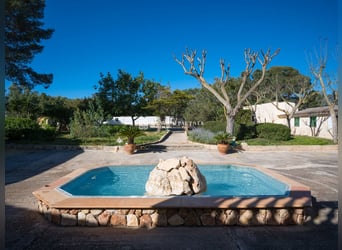 Mallorca: Landhotel 37 Hektar Land, alte Stallungen und Möglichkeit zur Pferdehaltung