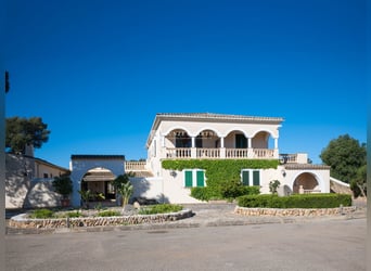 Mallorca: Landhotel 37 Hektar Land, alte Stallungen und Möglichkeit zur Pferdehaltung