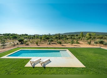 Mallorca: Neubau-Finca mit tollem Blick - Pferdehaltung möglich