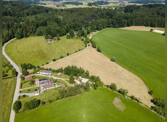 Malownicza posiadłość w Chiemgau – willa, 7 ha ziemi i stajnia, z potencjałem dla miłośników koni