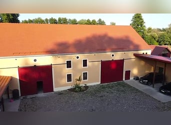 Niezwykła, chroniona prawem historycznym posiadłość dla indywidualistów. Idealna do hodowli koni.