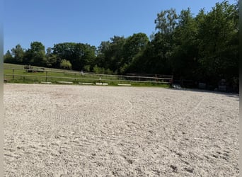 Nowoczesny dom z stadniną i stajnią – zamieszkanie z końmi