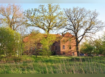 OPEN HOUSE am 28.9.: Gutshaus Scharpzow mit 2,2 ha und zusätzlichen Pachtflächen steht zum Verkauf