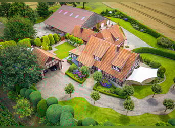 Pferdegerecht und repräsentativ: Hofstelle mit 2 Wohnhäusern und großem Flächenensemble nahe Meppen!