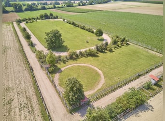 Pferdeimmobilie in Worms mit großem Mehrfamilienhaus und eigener Ovalbahn zu verkaufen!