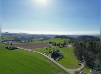 Pferderanch in Alterswil, Kanton Freiburg, Schweiz
