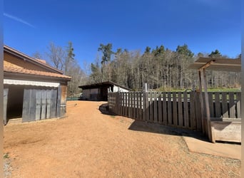 Pferderanch in Alterswil, Kanton Freiburg, Schweiz