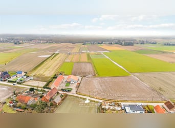 Prachtige villa in hoevestijl met bijgebouwen en graslanden op 89.070m² - 2811 Leest