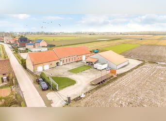 Prachtige villa in hoevestijl met bijgebouwen en graslanden op 89.070m² - 2811 Leest