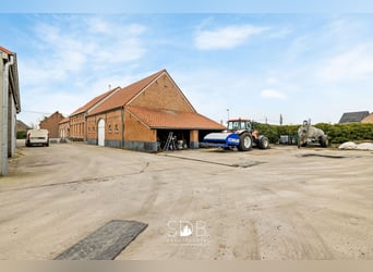 Prachtige villa in hoevestijl met bijgebouwen en graslanden op 89.070m² - 2811 Leest