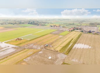Prachtige villa in hoevestijl met bijgebouwen en graslanden op 89.070m² - 2811 Leest