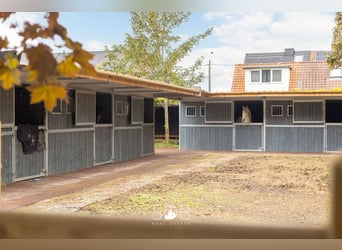 Prachtige villa met zwembad, paardenstallen, paddock en grasland op 1,3HA - 1790 Affligem
