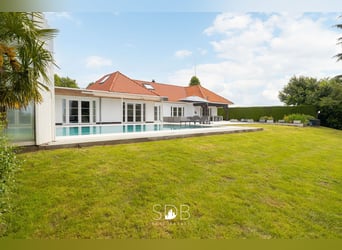 Prachtige villa met zwembad, paardenstallen, paddock en grasland op 1,3HA - 1790 Affligem