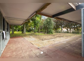 Prachtige villa met zwembad, paardenstallen, paddock en grasland op 1,3HA - 1790 Affligem