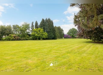 Prachtige villa met zwembad, paardenstallen, paddock en grasland op 1,3HA - 1790 Affligem