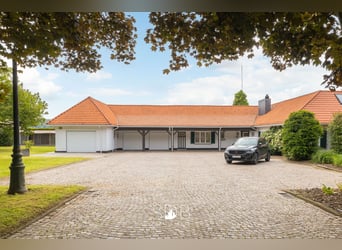 Prachtige villa met zwembad, paardenstallen, paddock en grasland op 1,3HA - 1790 Affligem