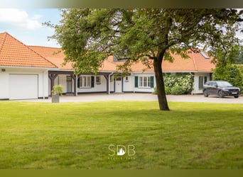 Prachtige villa met zwembad, paardenstallen, paddock en grasland op 1,3HA - 1790 Affligem