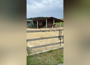 Premium-Reitanlage in Niederbayern -Perfekte Symbiose aus Eleganz +Funktionalität f. Mensch +Pferd