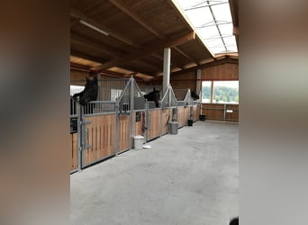 Premium-Reitanlage in Niederbayern -Perfekte Symbiose aus Eleganz +Funktionalität f. Mensch +Pferd