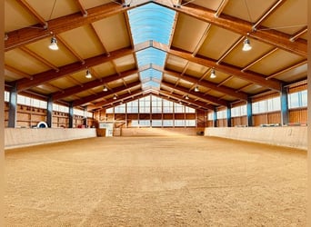 Professionelle Reitanlage im Großraum Metzingen
