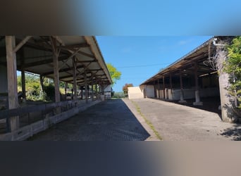 Propriété Equestre 