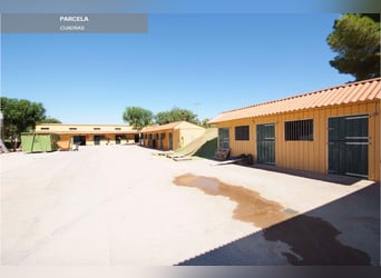 Ref 2535Sg Spanien, Valencia, Bétera - elegante Villa mit Reitstall zu verkaufen!